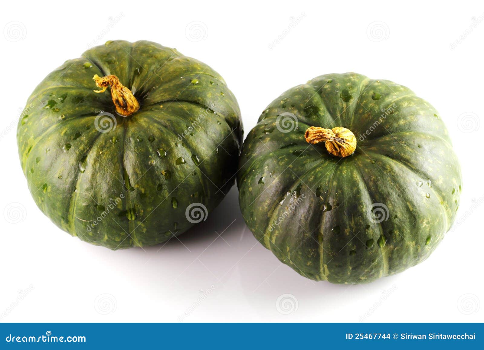 Calabaza verde foto de archivo. Imagen de blanco, objeto 25467744