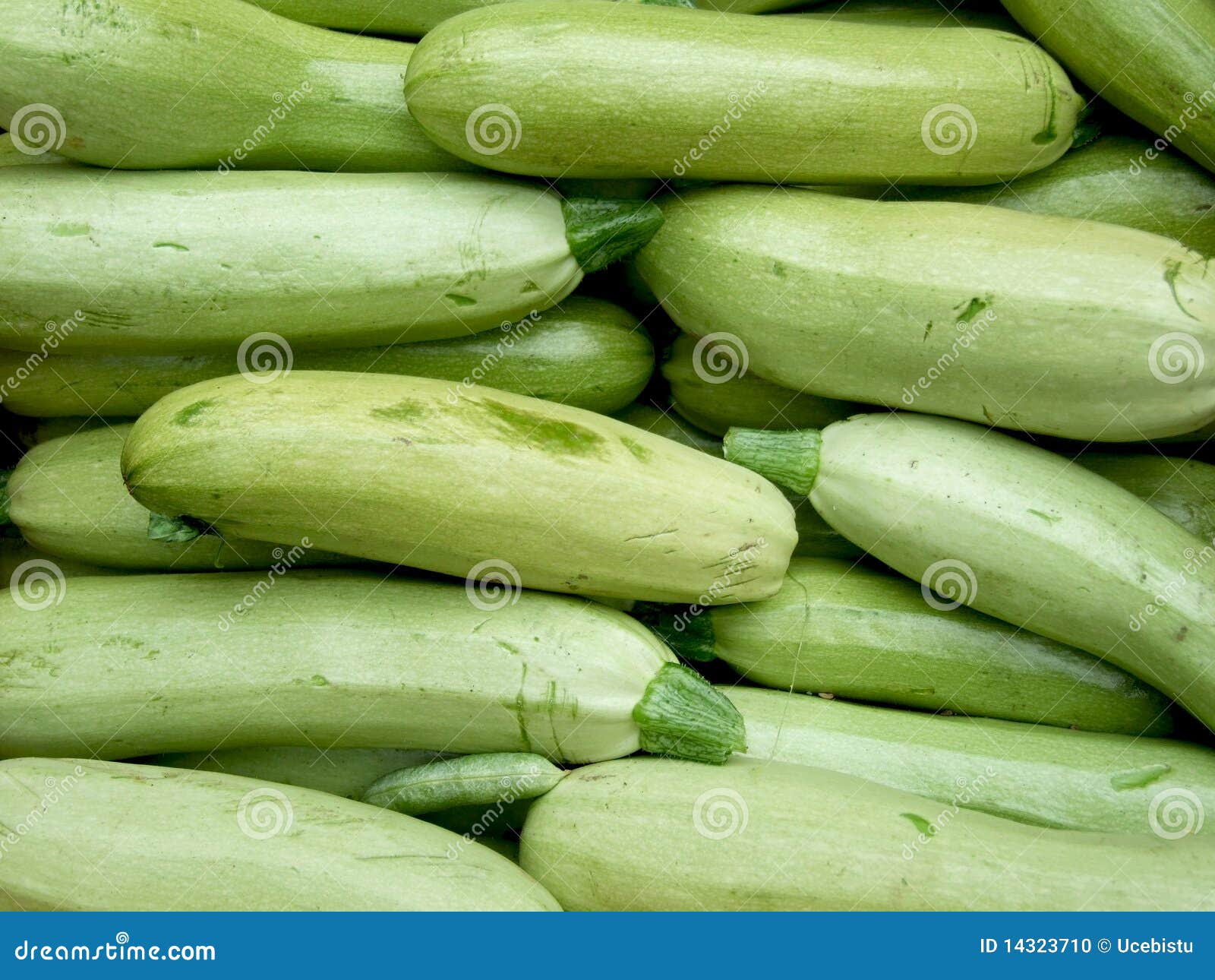 Calabazas verdes foto de archivo. Imagen de germen, vehículo 14323710