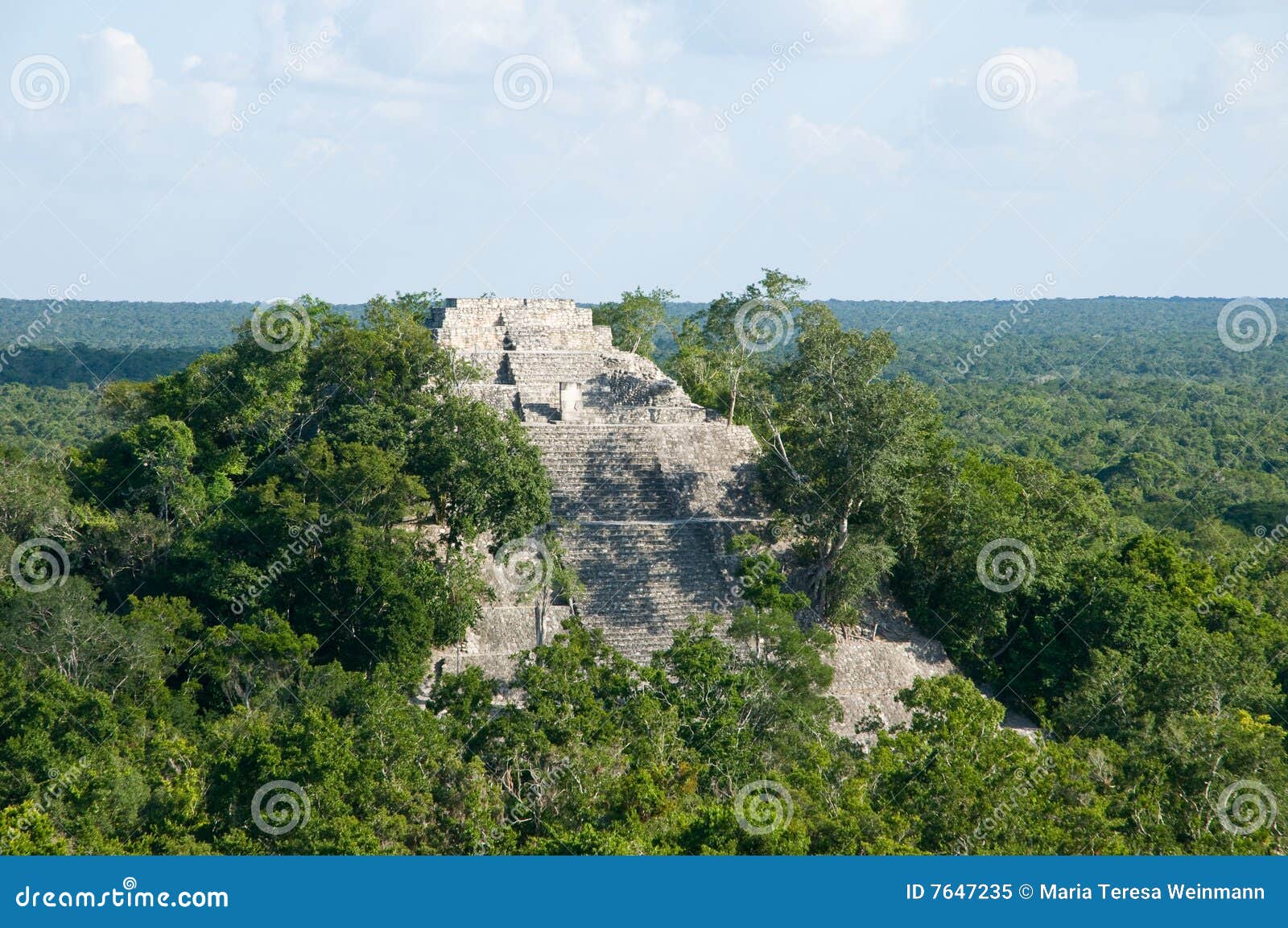 calakmul - estructura i