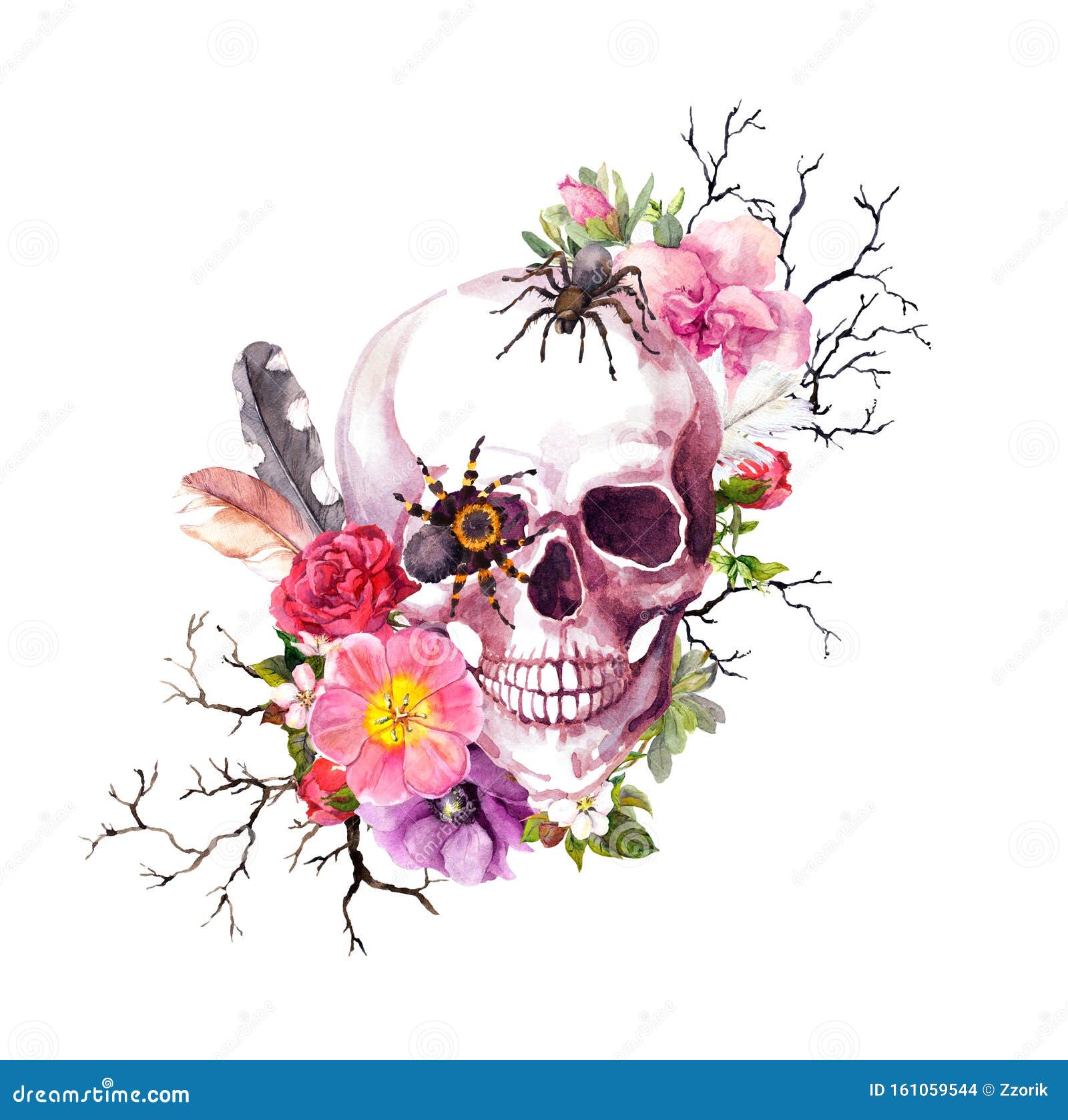 Calavera Humana, Flores, Plumas, Arañas Acuarela Diseño De Halloween,  Tatuaje Gótico Stock de ilustración - Ilustración de lindo, retro: 161059544