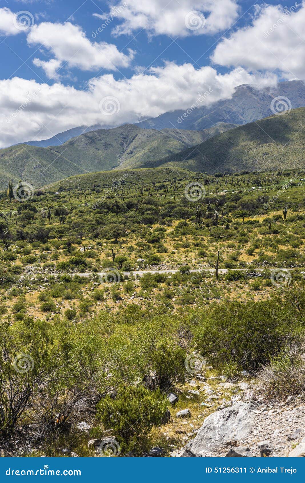 calchaqui valley in tucuman, argentina