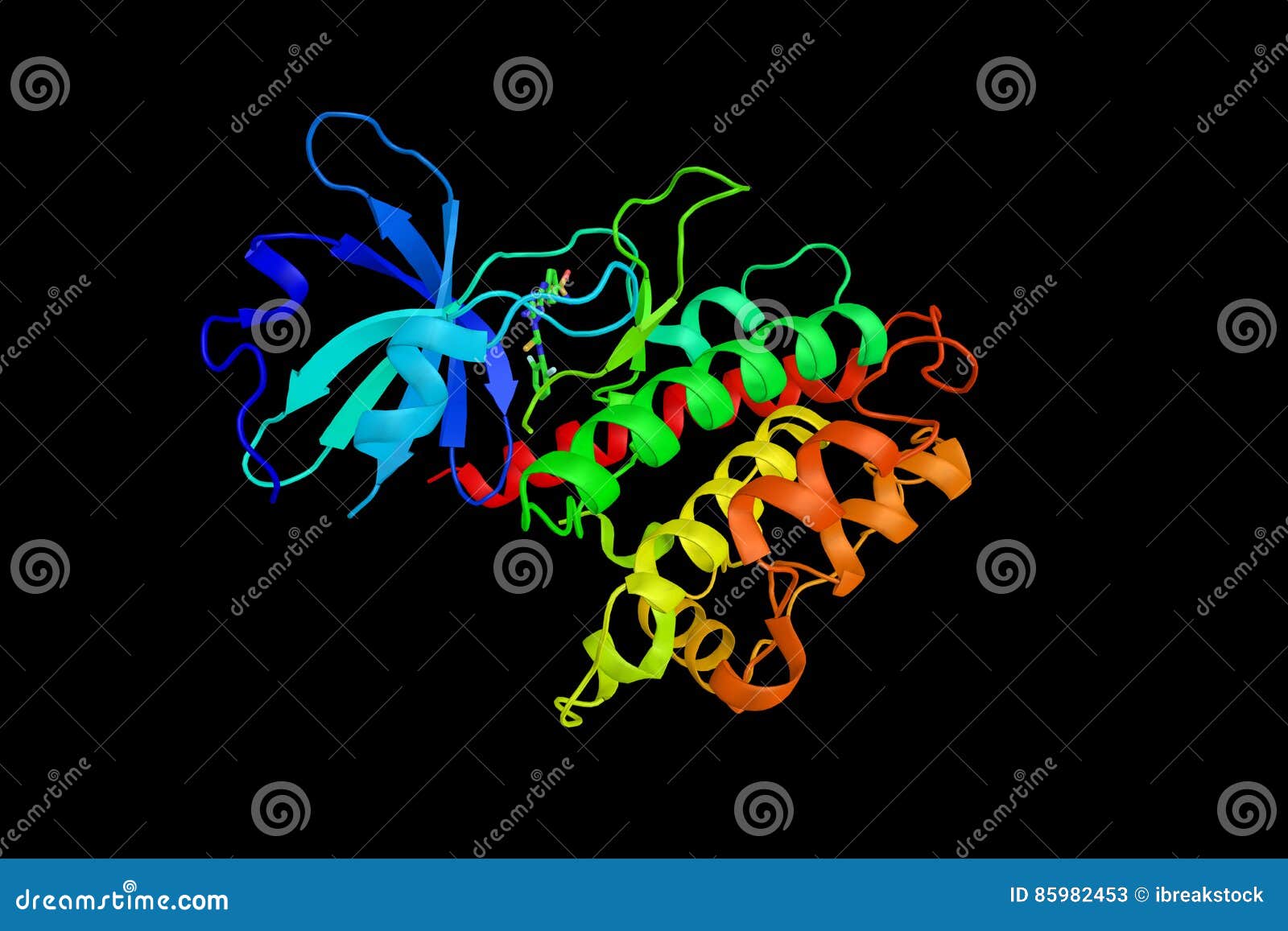Calcium/calmodulindependent Protein Kinase Type IV, a Protein K Stock