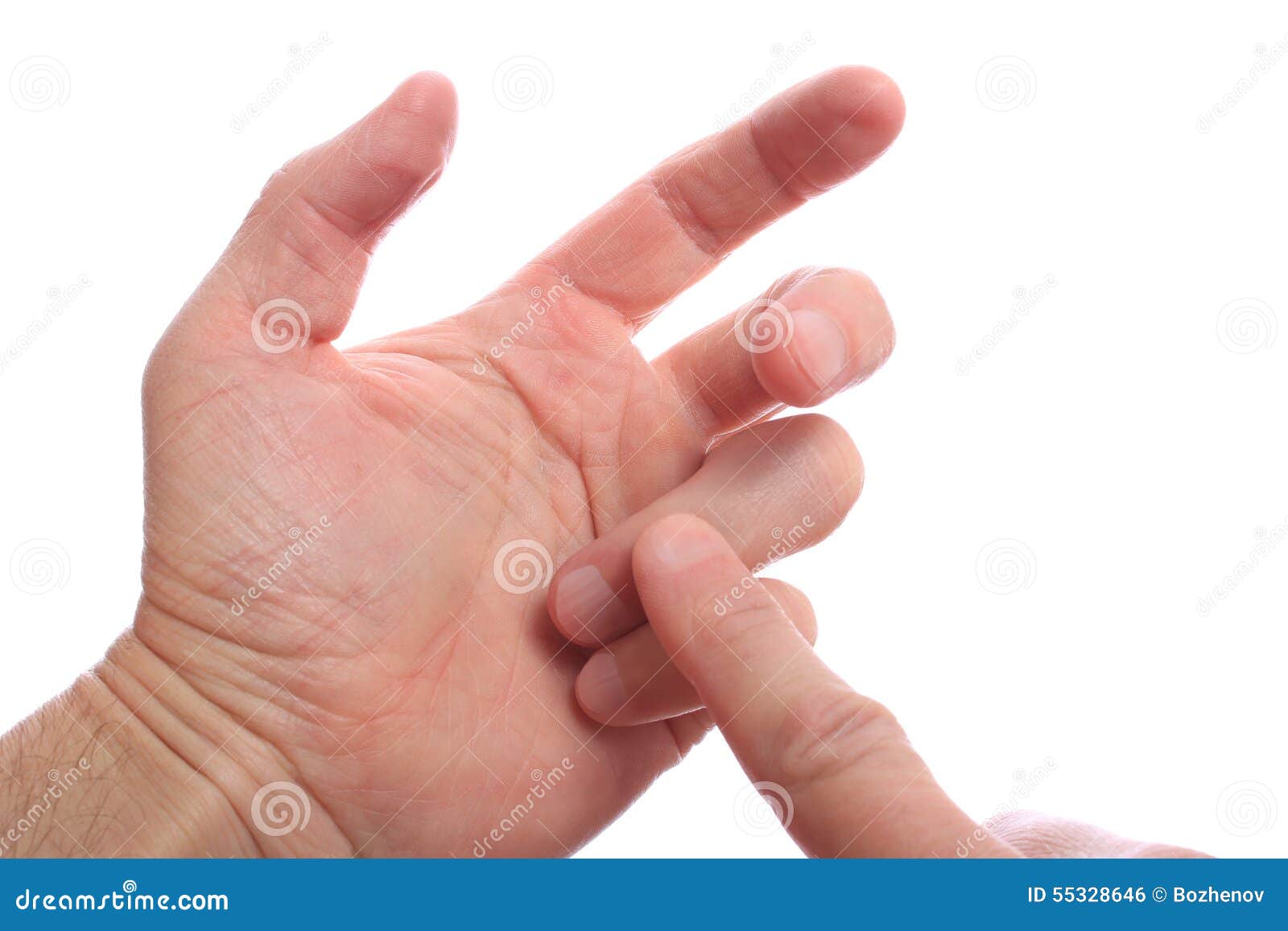 Сонник большой палец. Рука с загнутыми пальцами. Считает на пальцах.