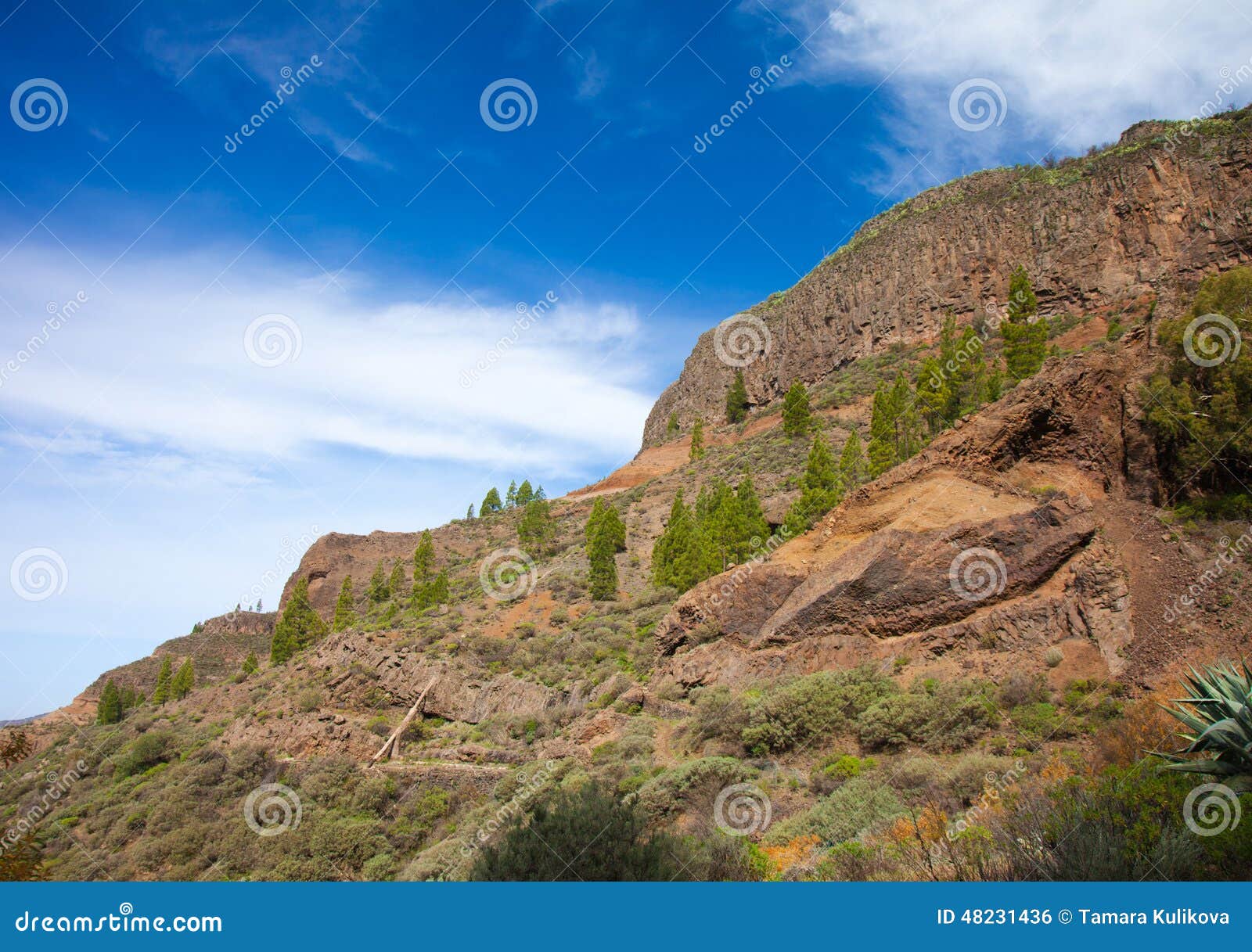 Caldera de Tejeda. Gran Canaria, calderaen de Tejeda, vinter regnar vända landskapgräsplanen, branta väggar av calderaen