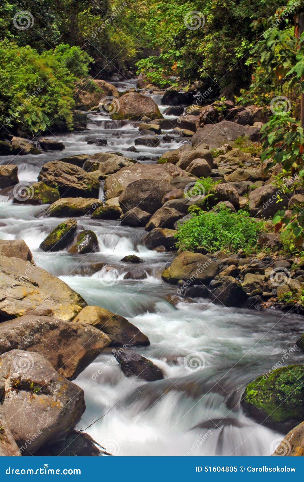 caldera river rapids, boquete, chiriqui, panama
