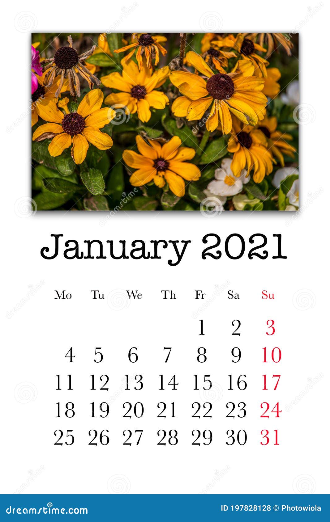 calendar-card-for-the-month-of-january-stock-photo-image-of-monday