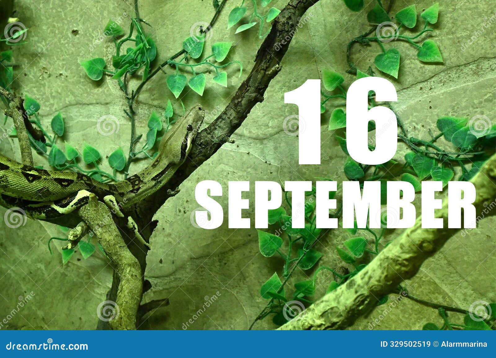 calendar date on light green background with snake crawling on tree branch. september 16 is the sixteenth day of the