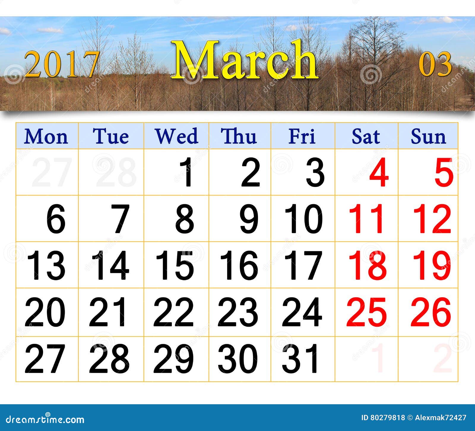 My Image 7
