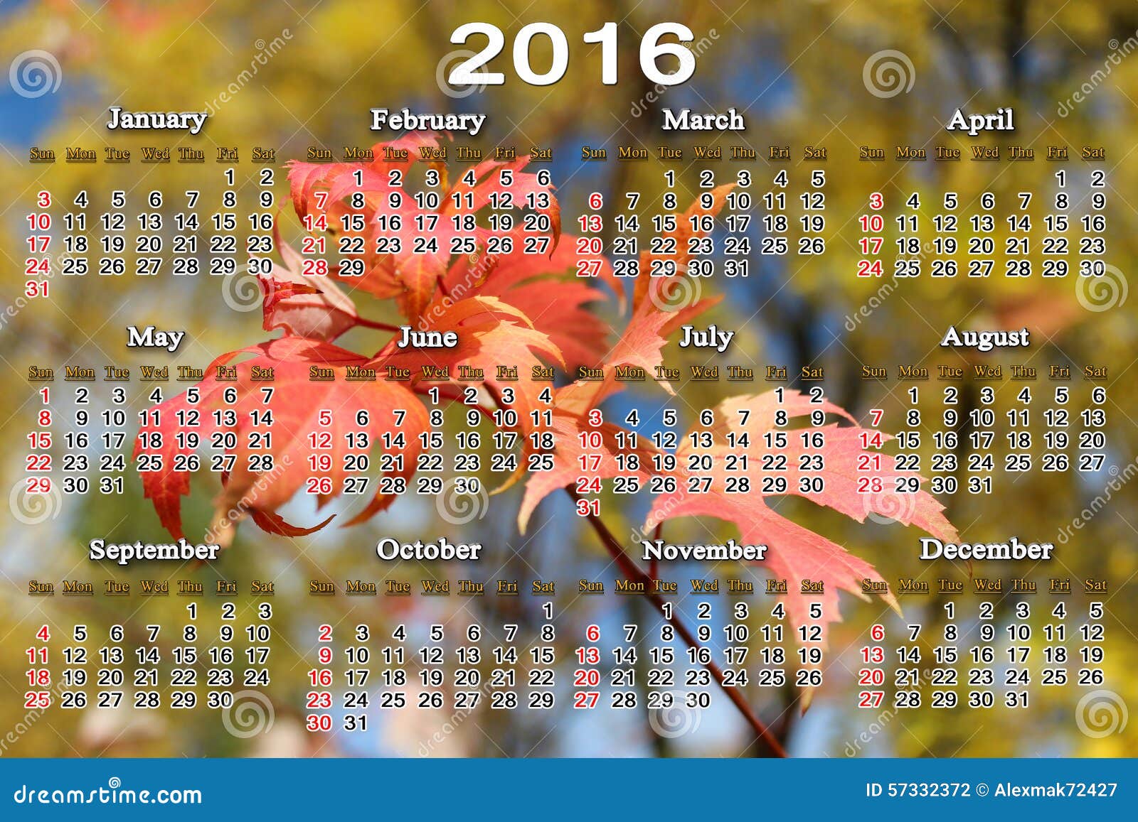 Calendar for 2016 with Red Maple Leaves Stock Photo Image of