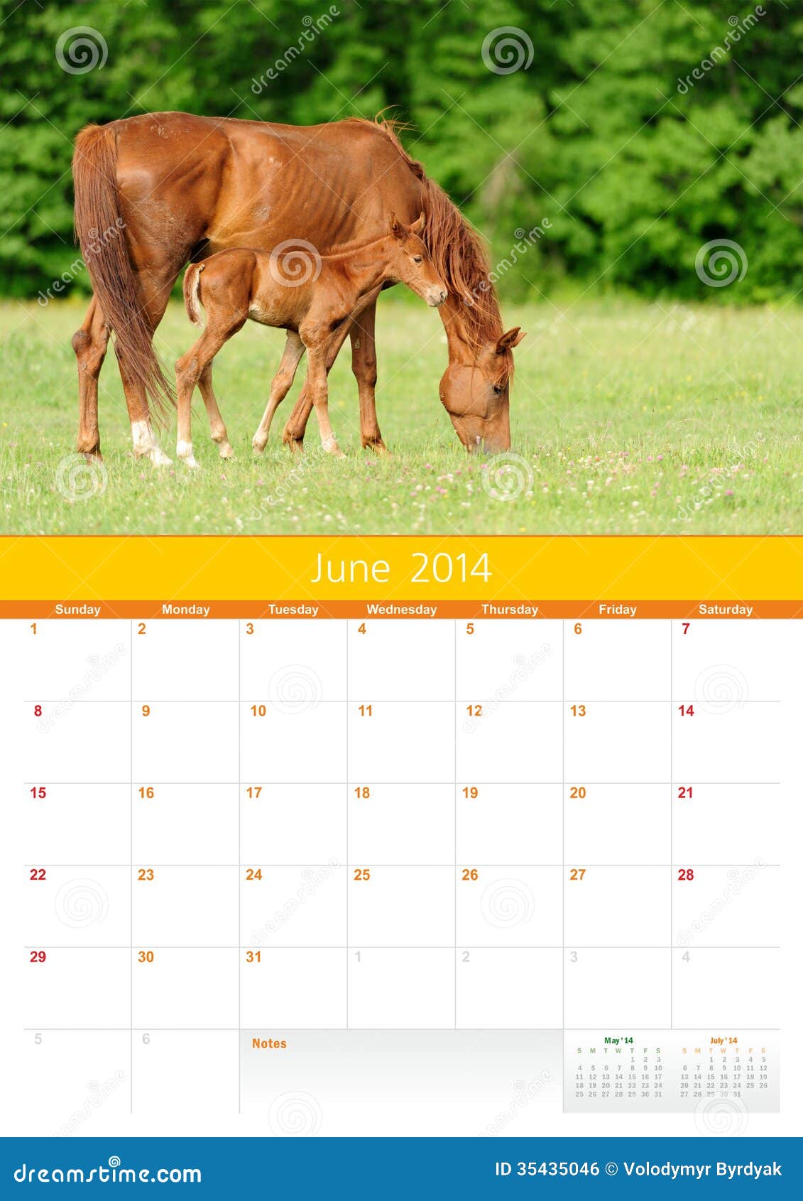 Calendario 2014. Caballo. Junio. Calendario del caballo 2014 años. Junio