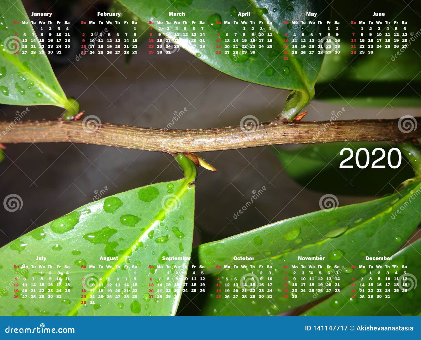 Calendario Macanudo 2019: Imprime tus alas y raíces Calendario Macanudo 2019: Imprime tus alas y raíces