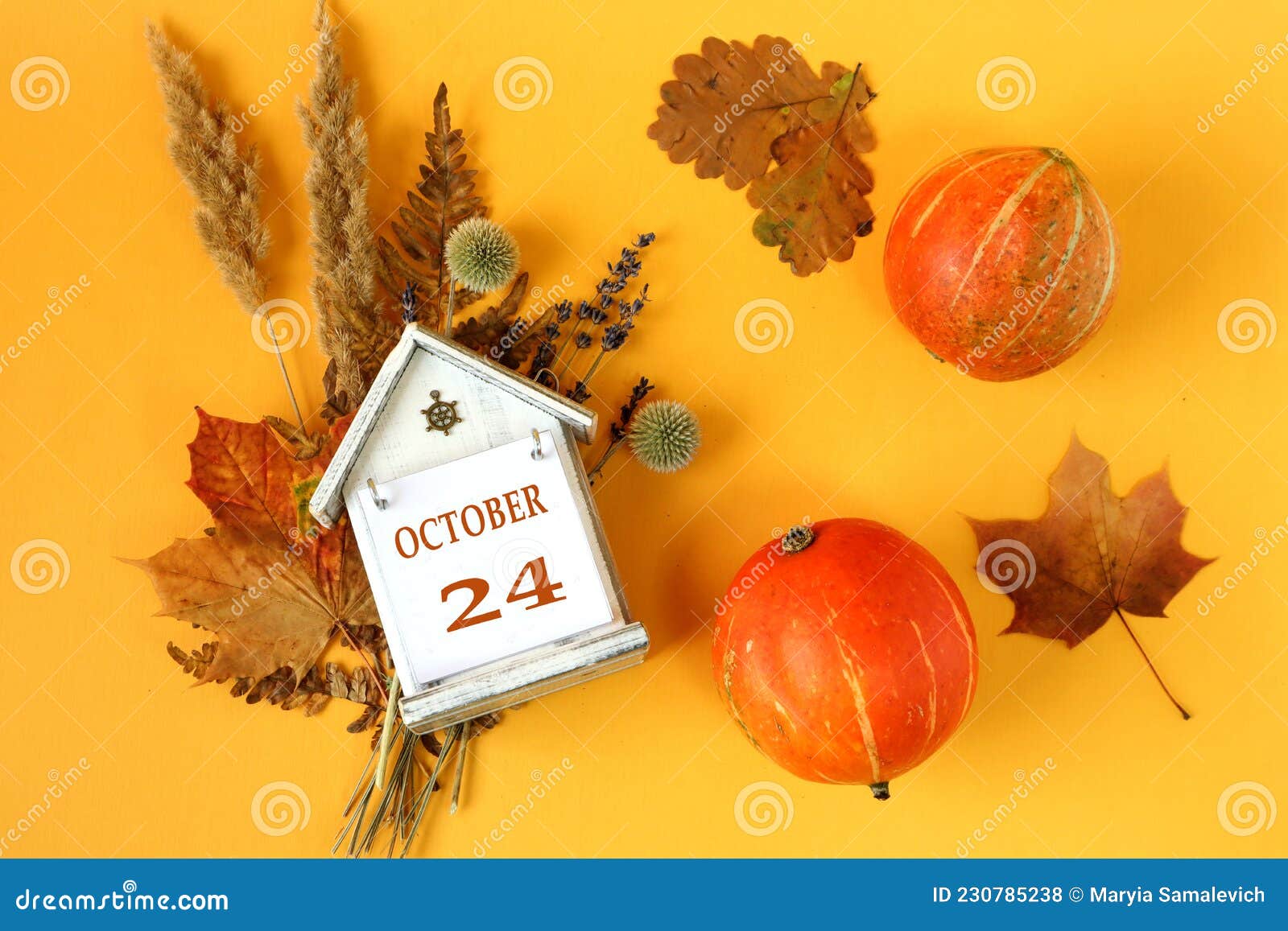 Calendario Para El 24 De Octubre : Casa Decorativa Con El Nombre Del Mes En  Inglés Y El Número 24 En Ramos De Flores Secas Foto de archivo - Imagen de  descuento, fondo: 230785238