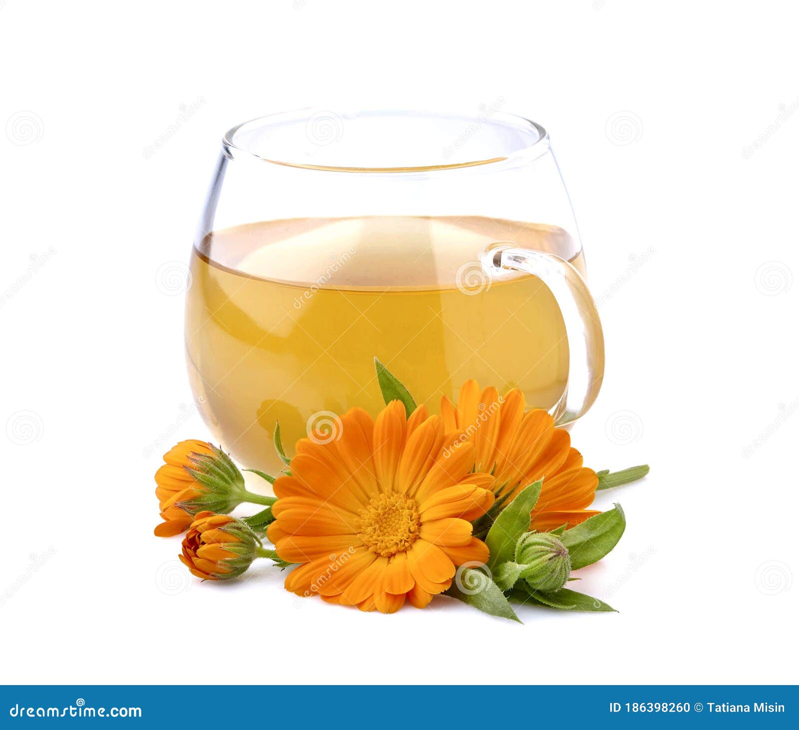 Calendula Flowers with Cup of Tea. Flowers with Leaves Isolated on