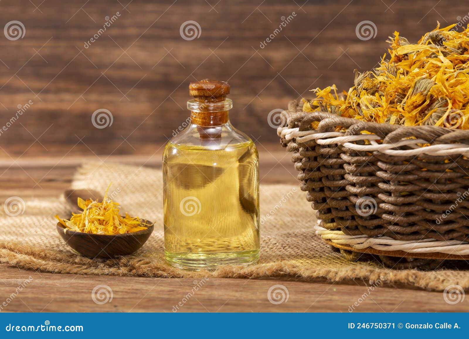 calendula officinalis - calendula oil in a glass bottle