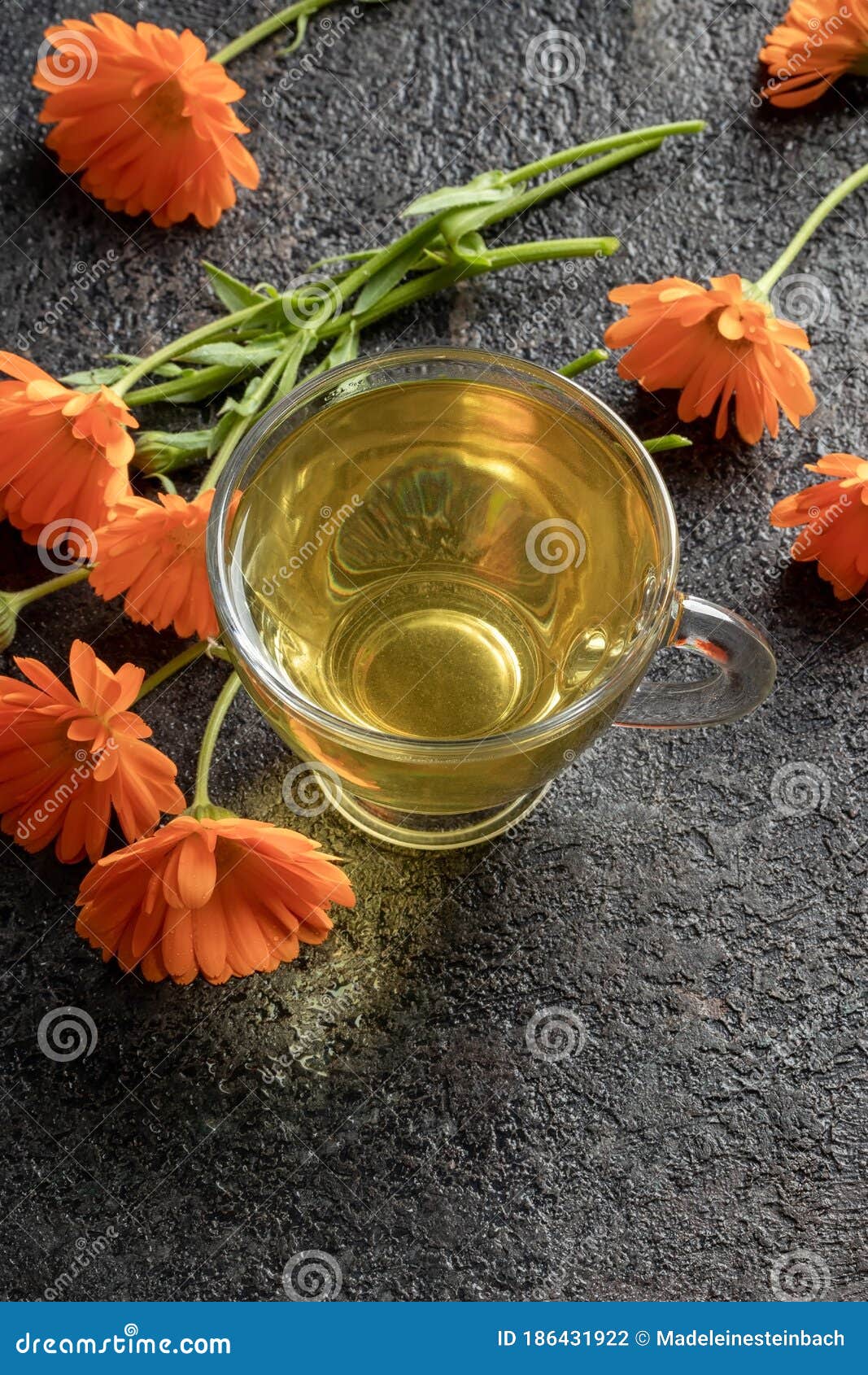 Calendula Tea with Fresh Calendula Flowers Stock Photo Image of fresh
