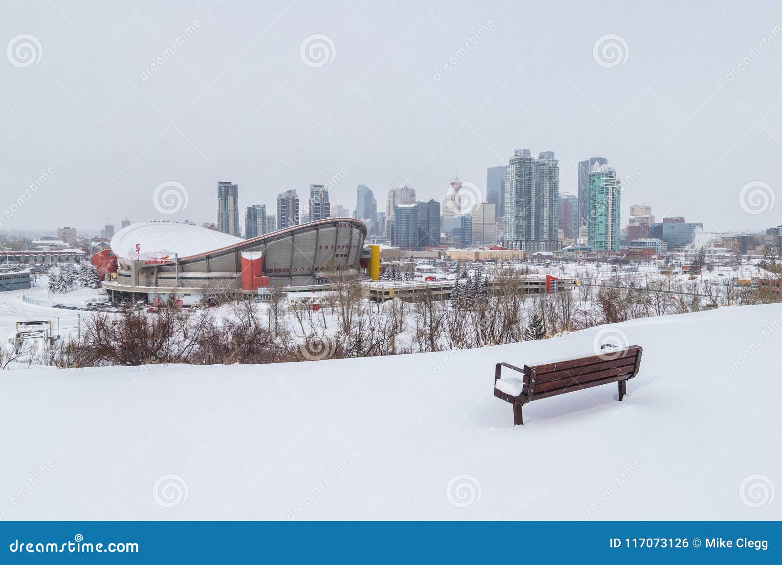 Calgary Skyline in the Winter Editorial Photo Image of winter