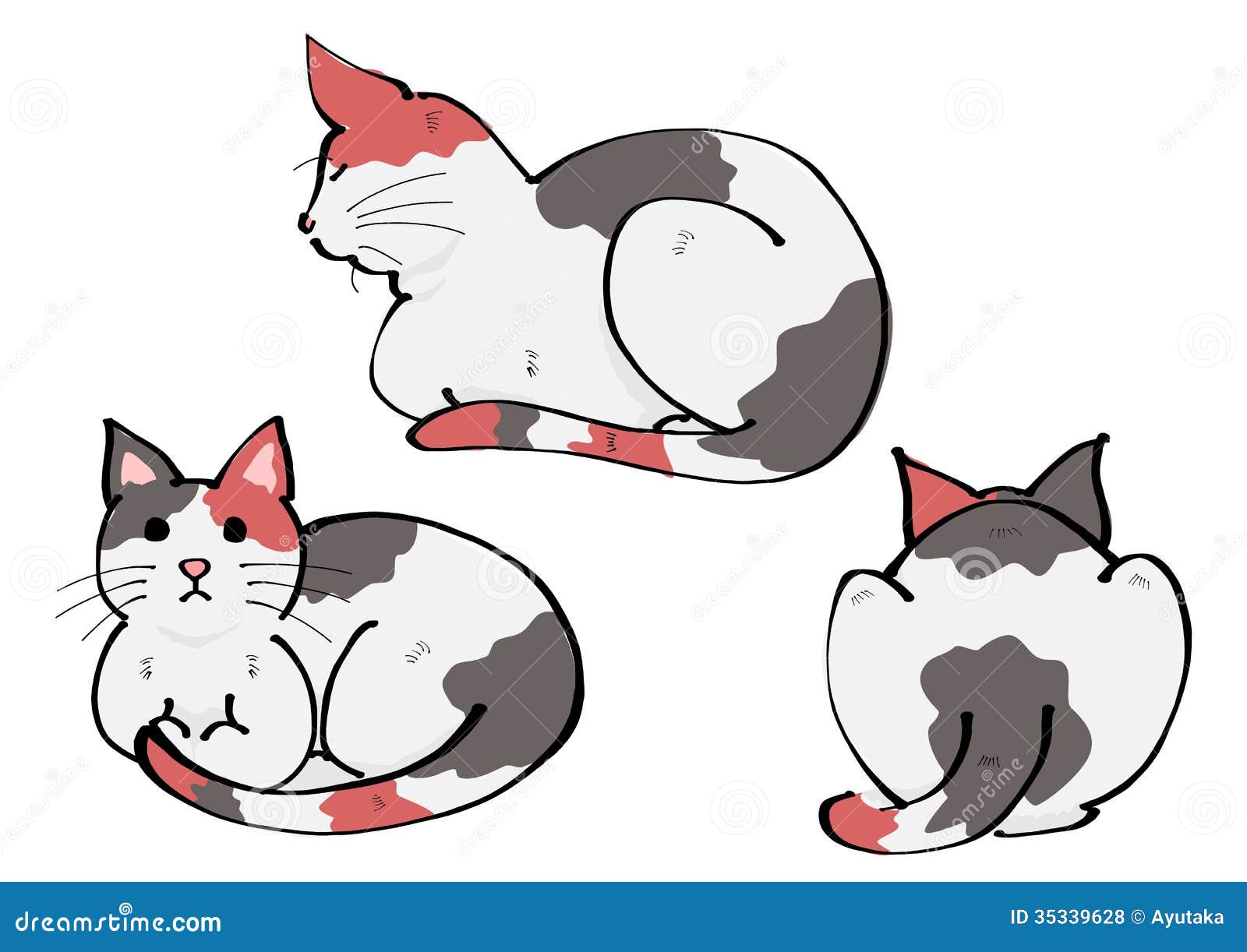 Calico cat stock illustration. Illustration of whitebackground 35339628