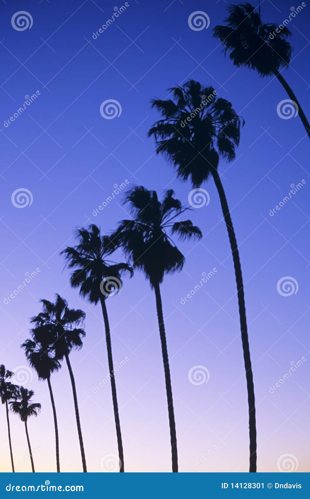 California stock image. Image of sundown, night, relax - 14128301