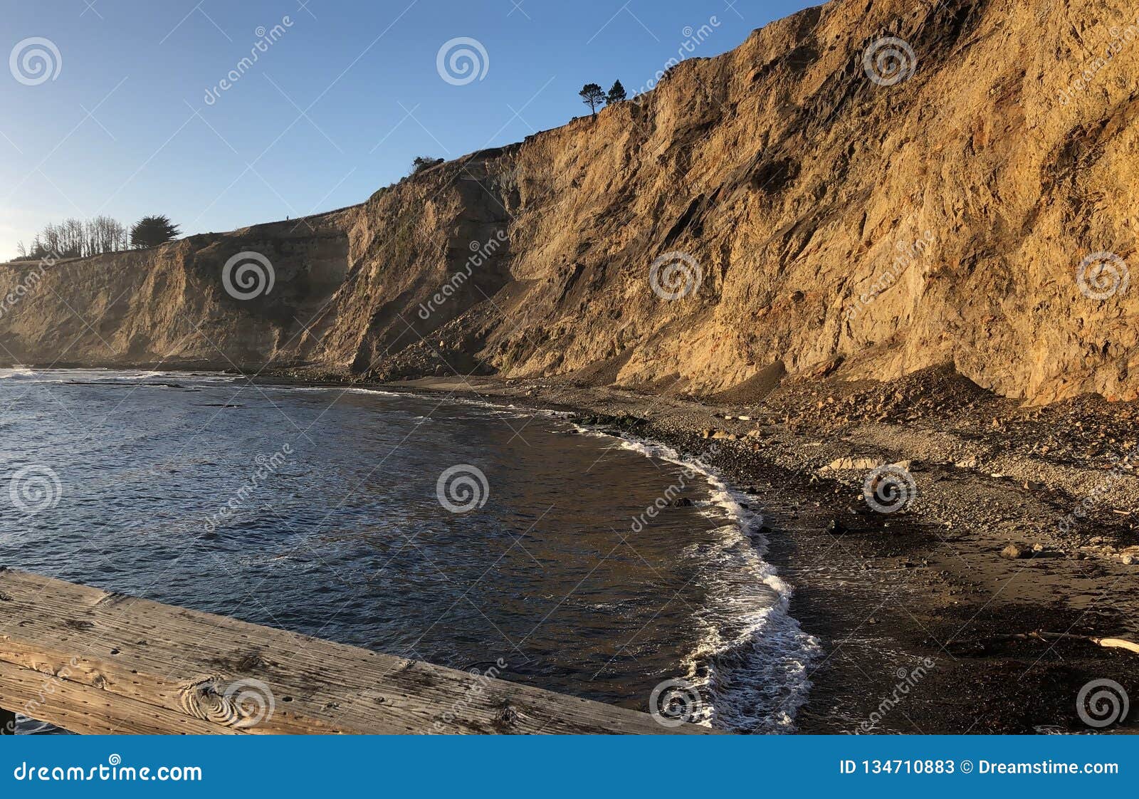 california beach dock - george alcu