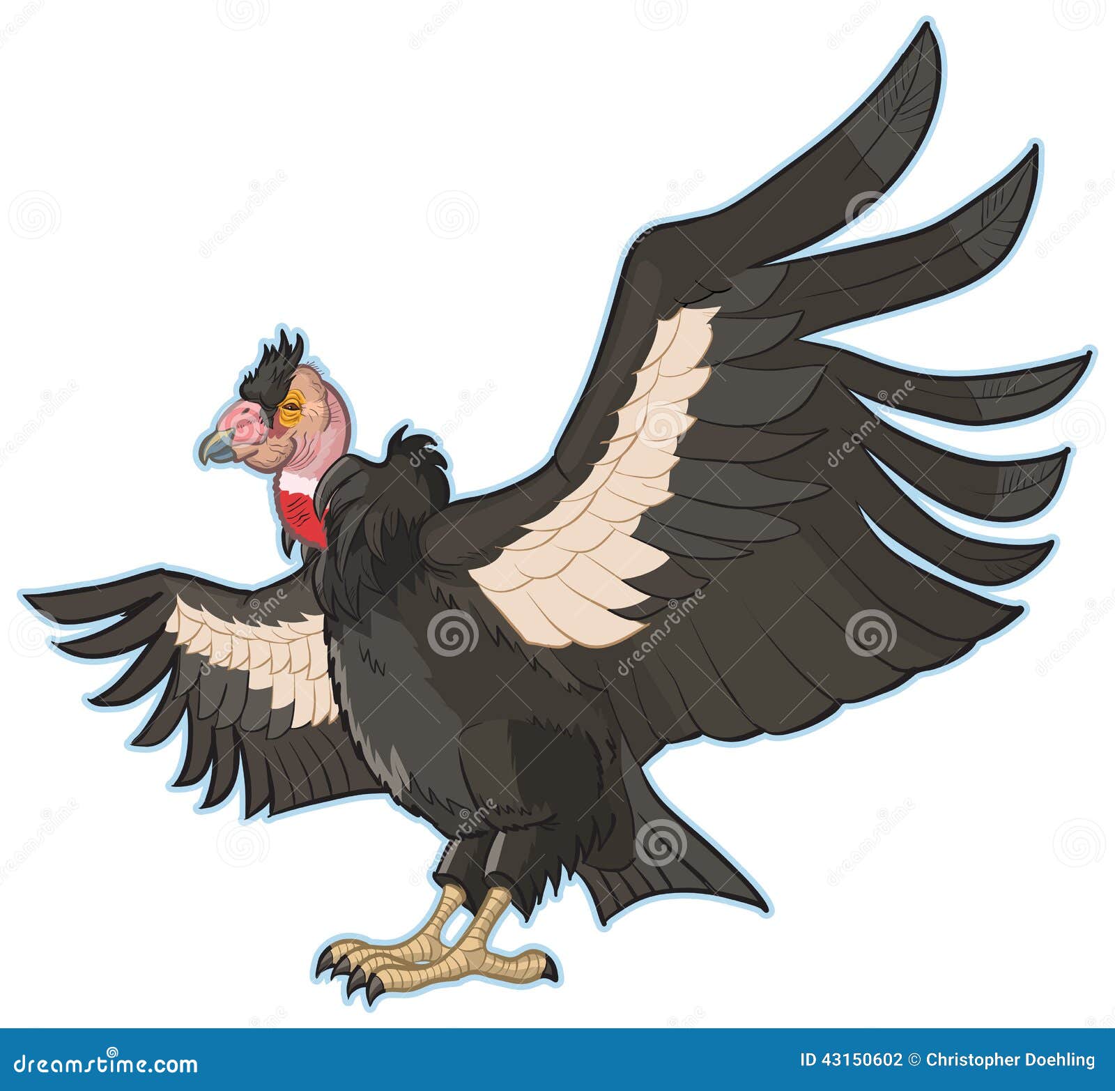 Andean Condor Svg, Vultur gryphus vector, South America Ande - Inspire  Uplift