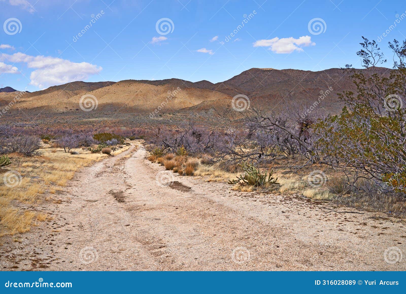 california, desert and trail with panorama, enviroment and blue sky for travel or tourism. nature, mountain and