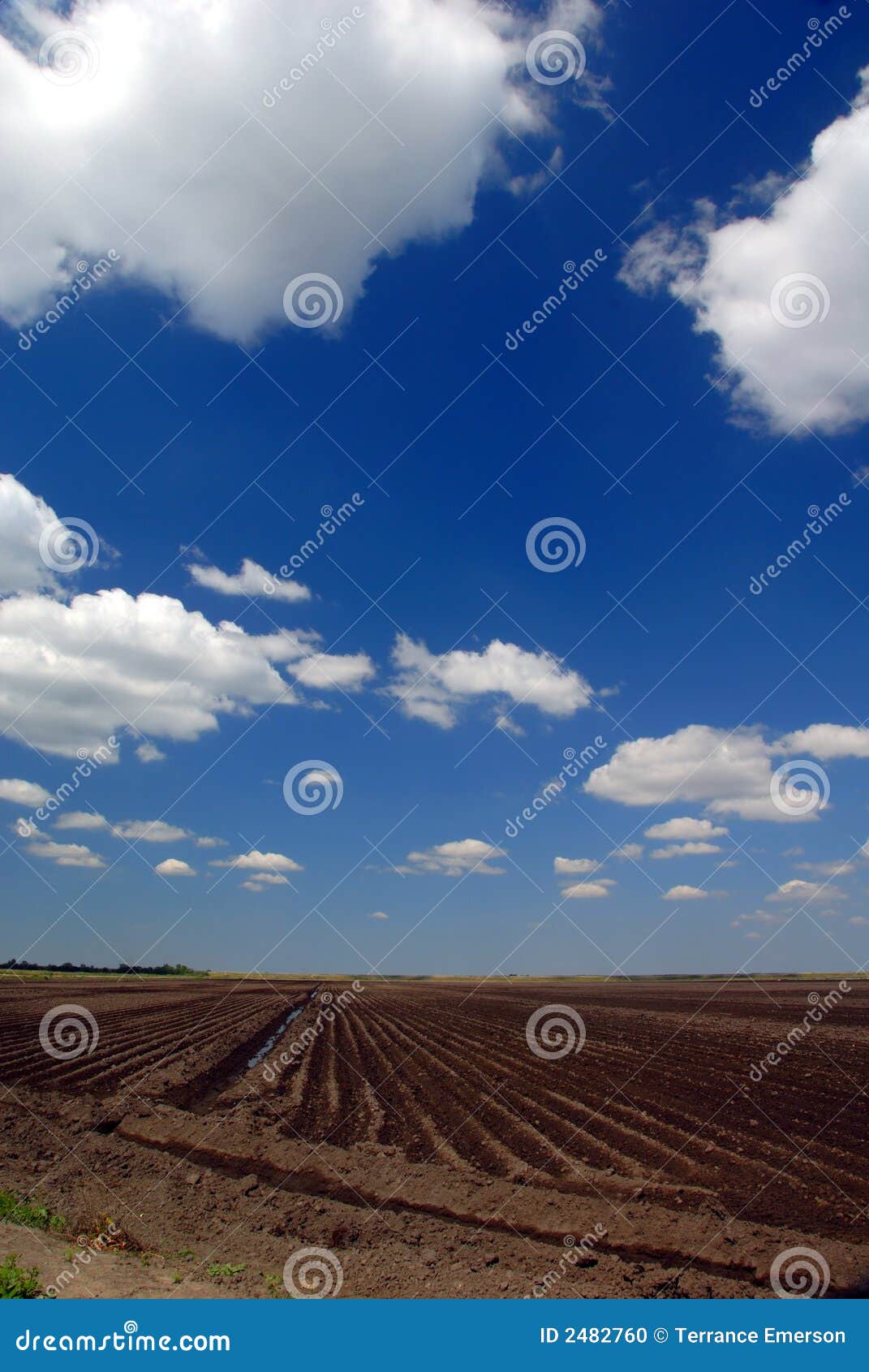 California Farm Land stock photo. Image of rich, rural 2482760