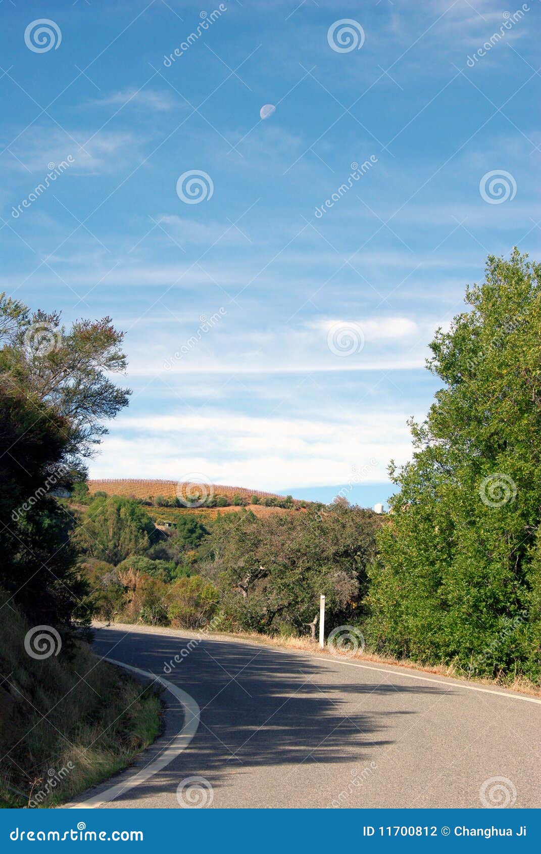 California Hilltop Road View Stock Photo Image of vineyard, blue