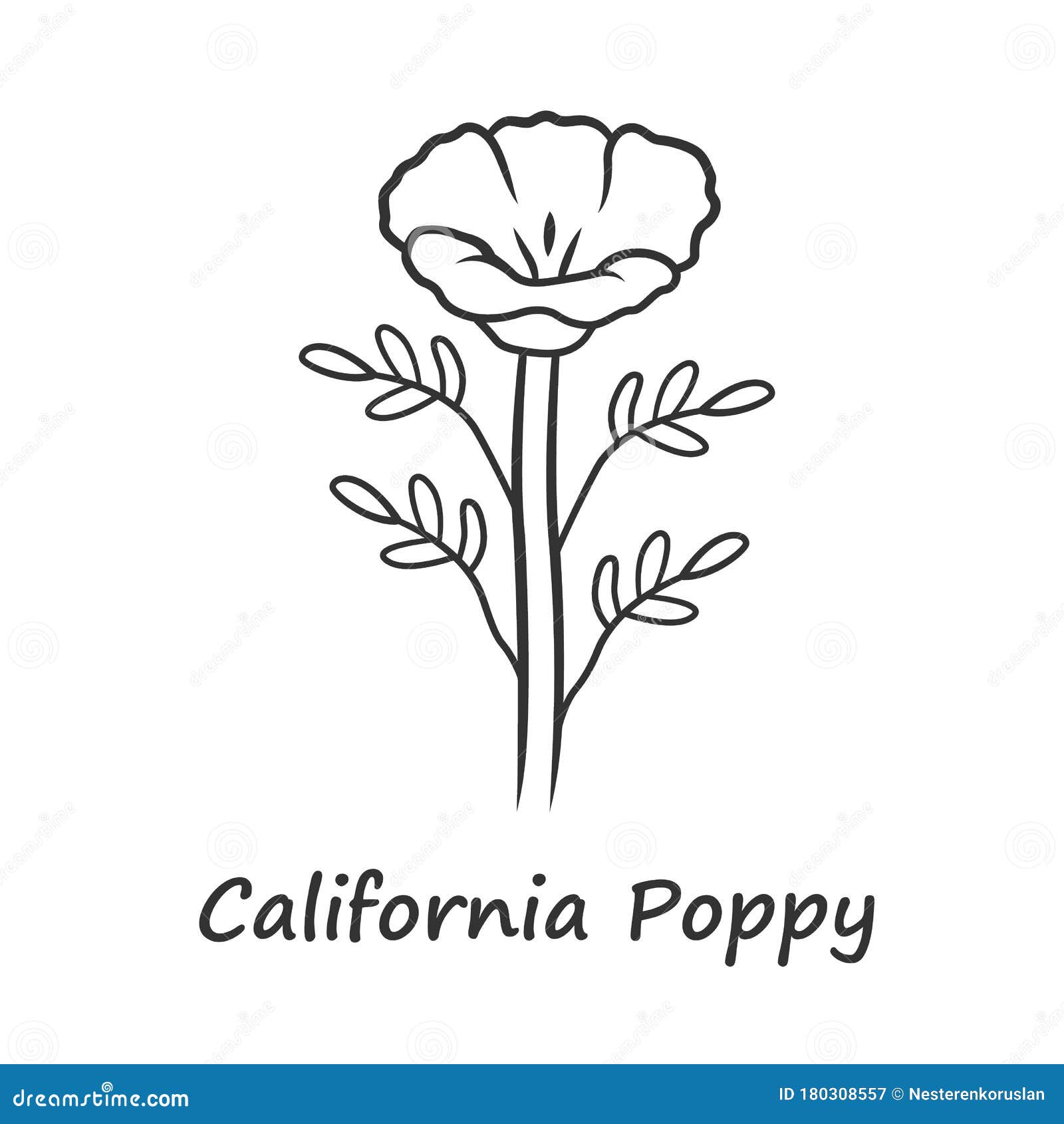 California Poppy Linear Icon. Papaver Rhoeas with Name Inscription ...