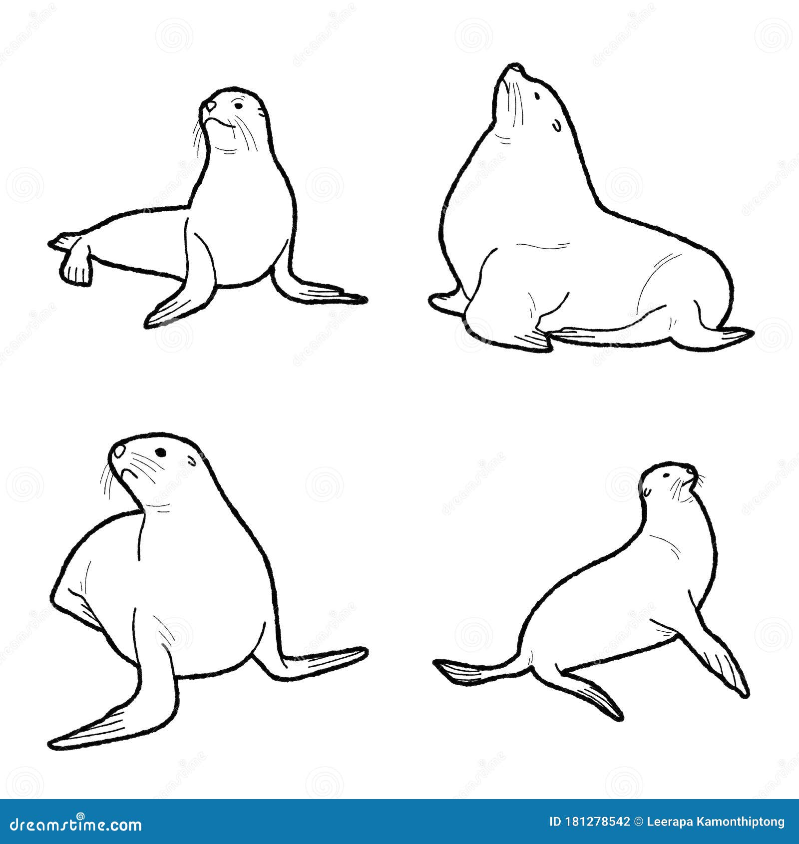 California Sea Lion Vector Illustration Hand Drawn Animal Cartoon Art Stock Vector - Illustration of character, graphic: 181278542 California Sea Lion Vector Illustration Hand Drawn Animal Cartoon Art Stock Vector - Illustration of character, graphic: 181278542