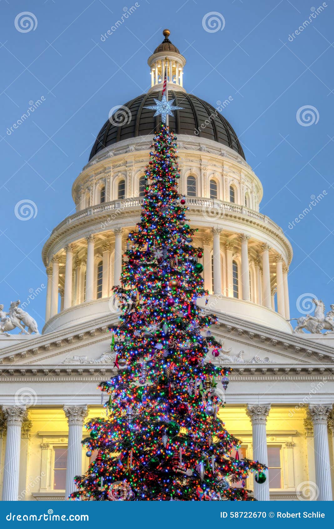 Image result for photos of california state capitol christmas tree