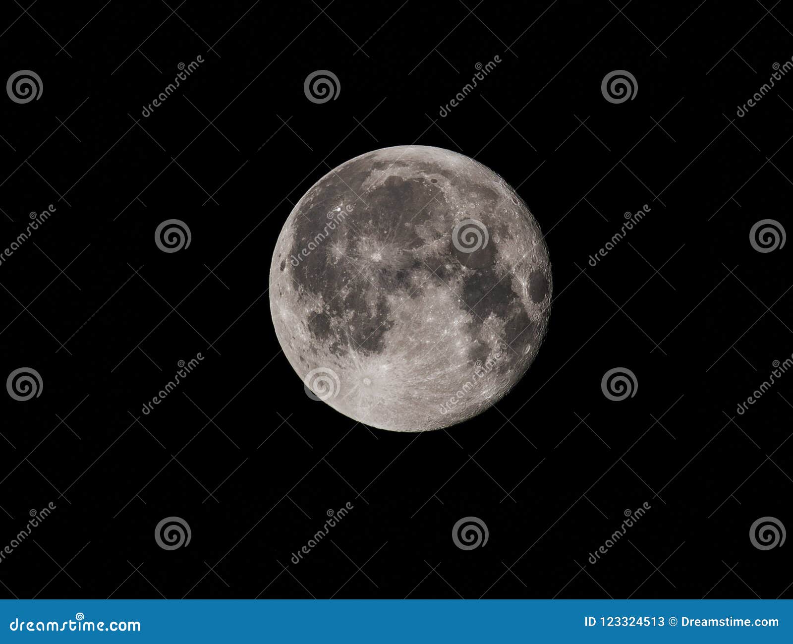 Call of the Moon stock image. Image of dark, light, round 123324513