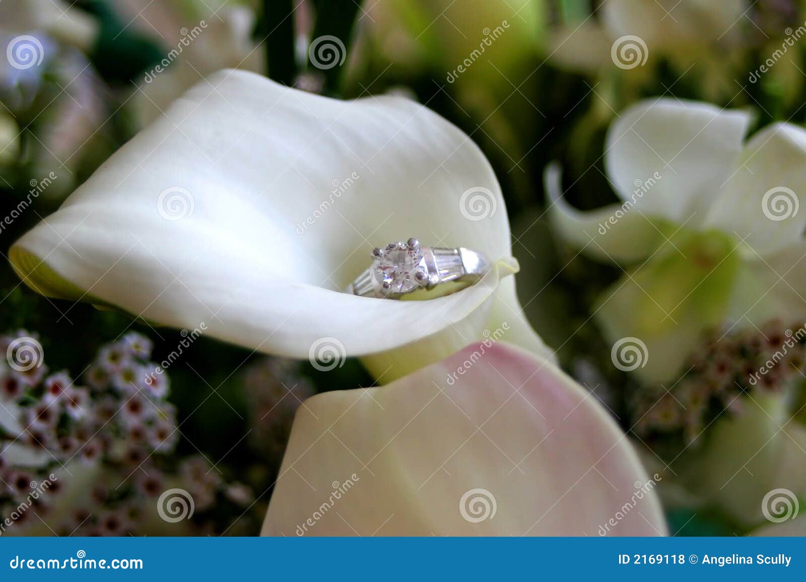 Calla Lily and Engagement Ring Stock Photo Image of love, ring 2169118