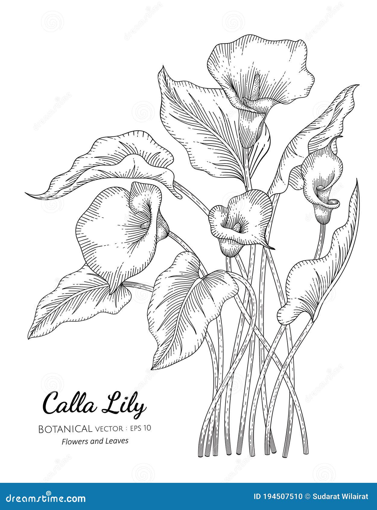 Printable Rhododendren Drawing Art Print  Floral Art  Botonical Print  Black and White Flower Drawing  Botanical Illustration Wall Art