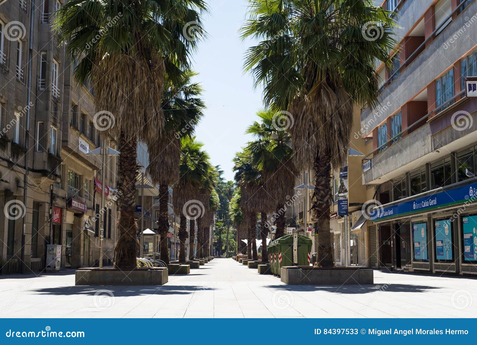 Calle con las palmeras foto de archivo editorial. Imagen de recorrido -  84397533