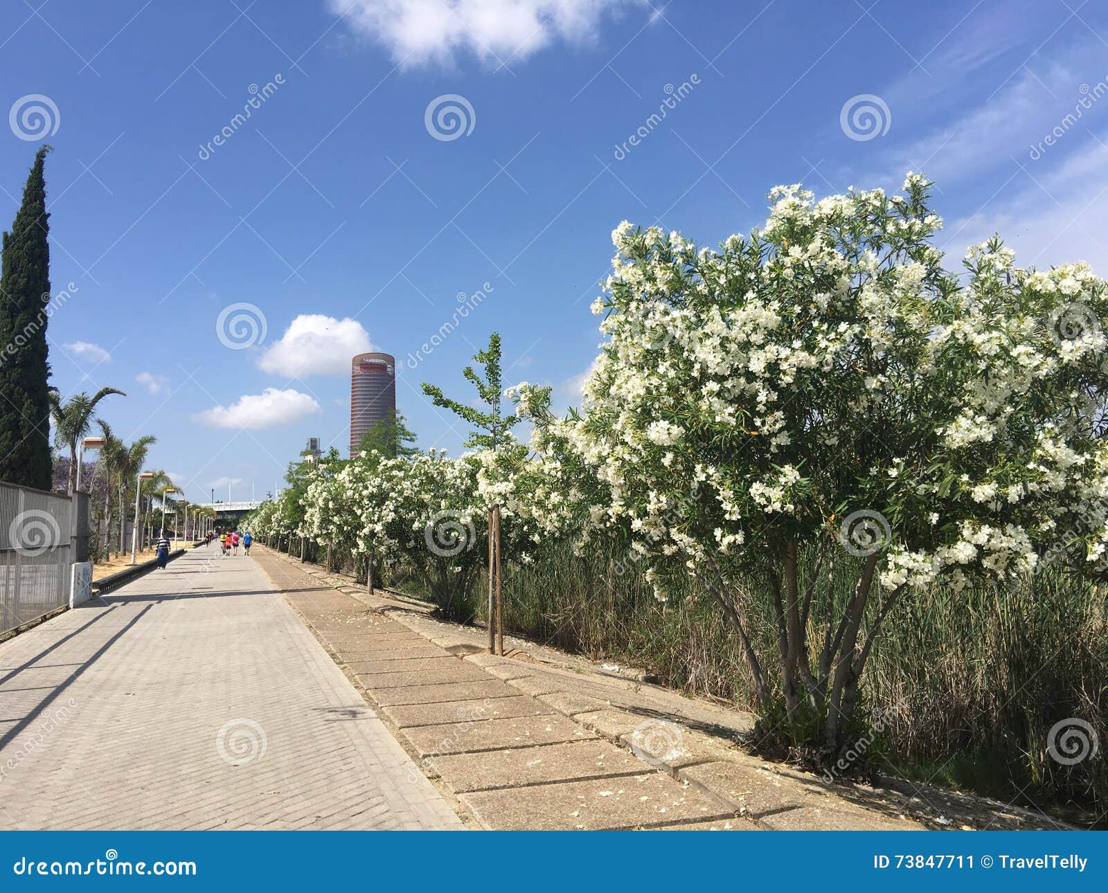 calle rey juan carlos i