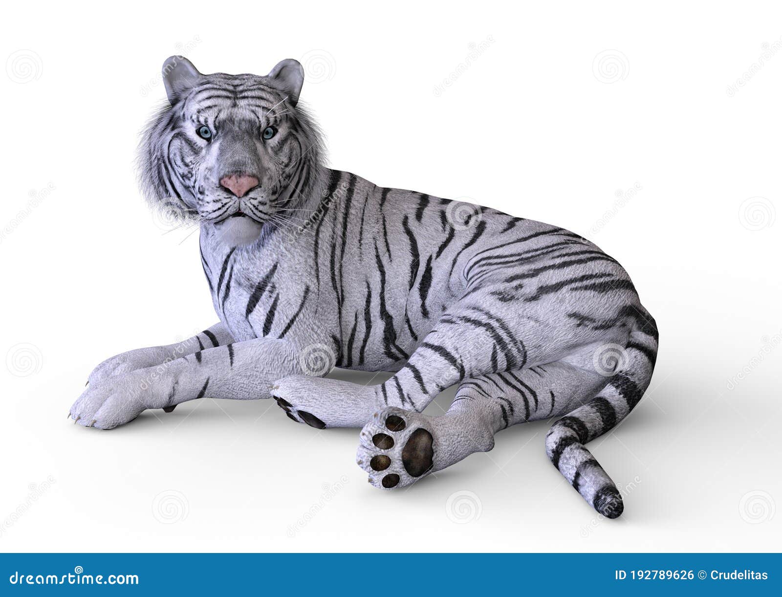 The White Tiger. 3D Illustration Stock Illustration - Illustration