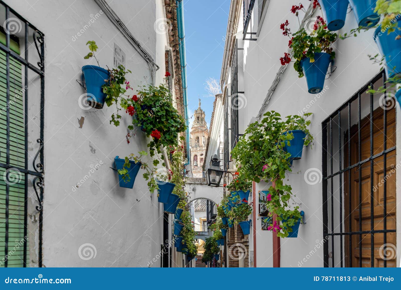 calleja de las flores in cordoba, andalusia, spain.