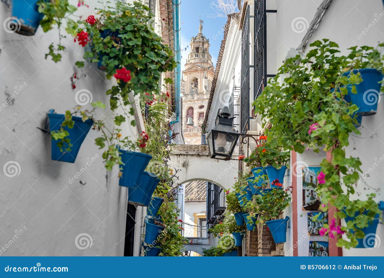 calleja de las flores in cordoba, andalusia, spain.