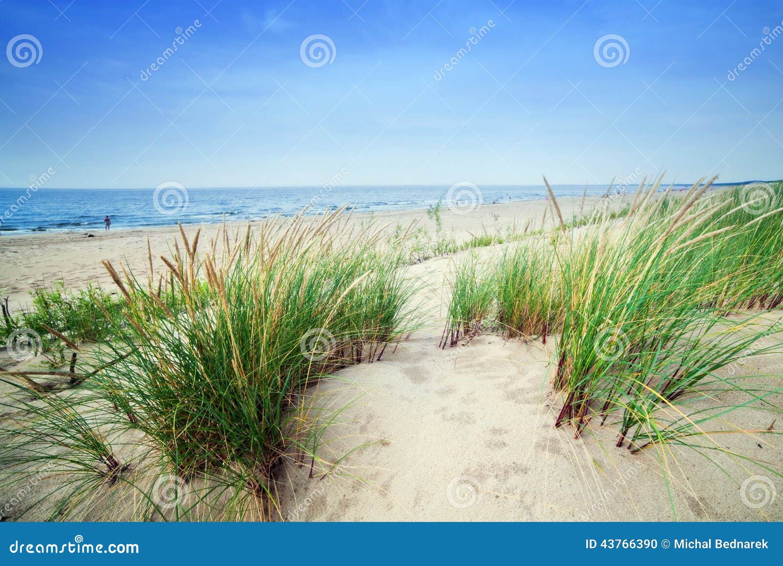 436,217 Calm Beach Stock Photos - Free & Royalty-Free Stock Photos from  Dreamstime