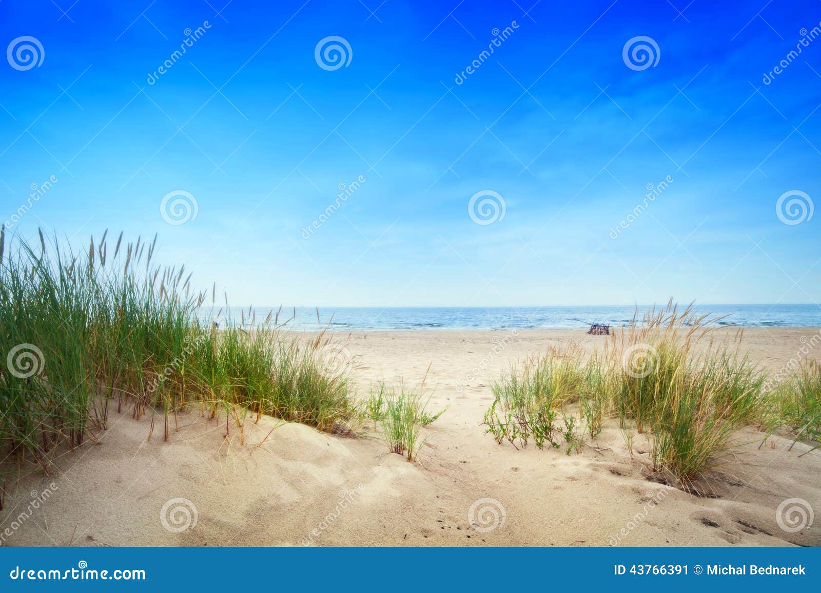 calm beach with dunes and green grass. tranquil ocean