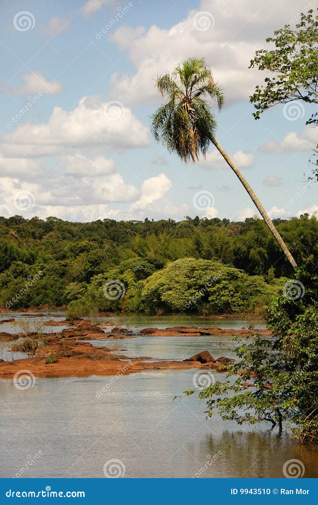 calm iguacu