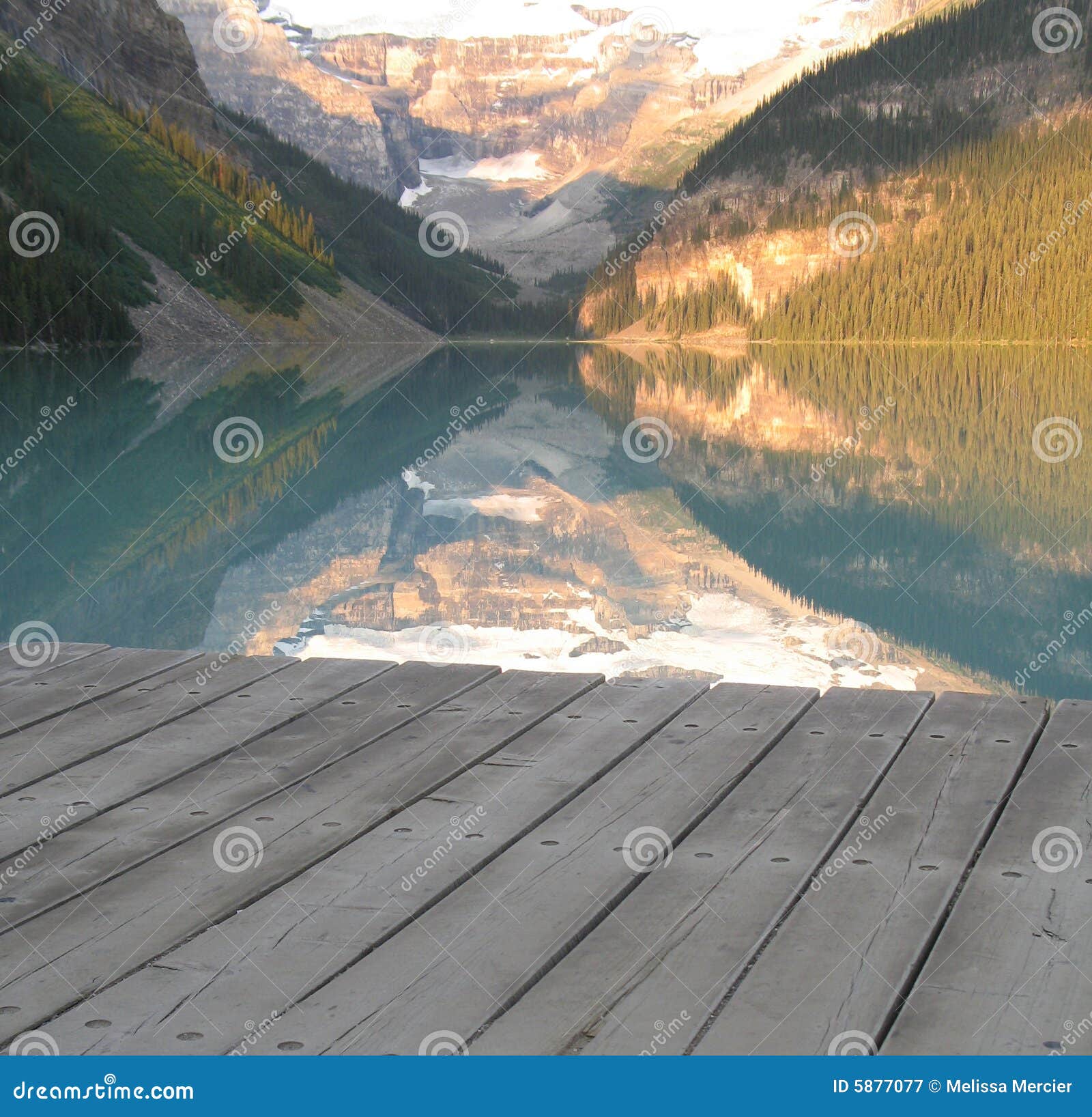 My Image 26