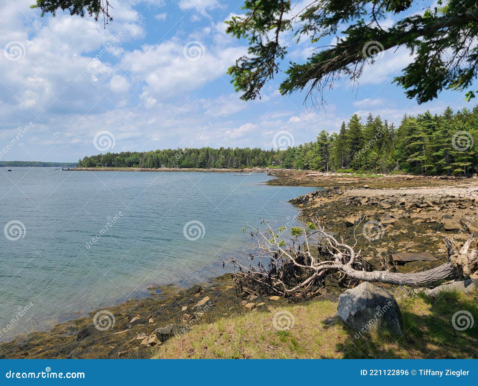 Calm Lake Picnic Area in Maine Stock Photo Image of nature