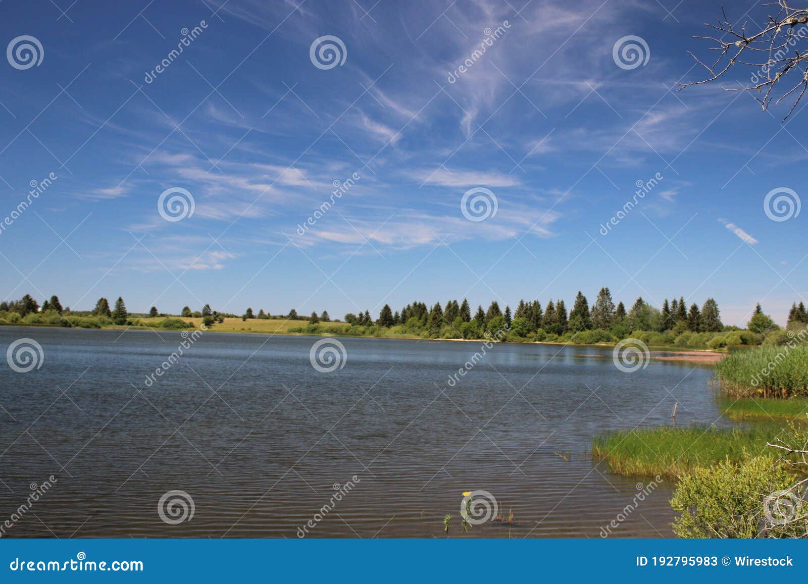 calm lake surrounded by greenery under a sunny sky in lac de l'entonnoir near the bouverans, france