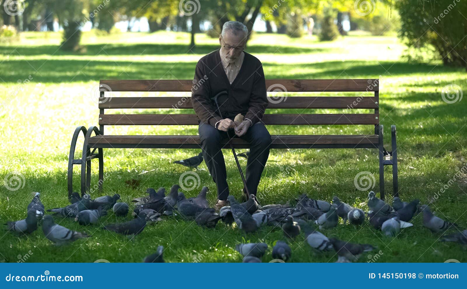 calm old man sitting on bench in park and feeding pigeons, loneliness in old age
