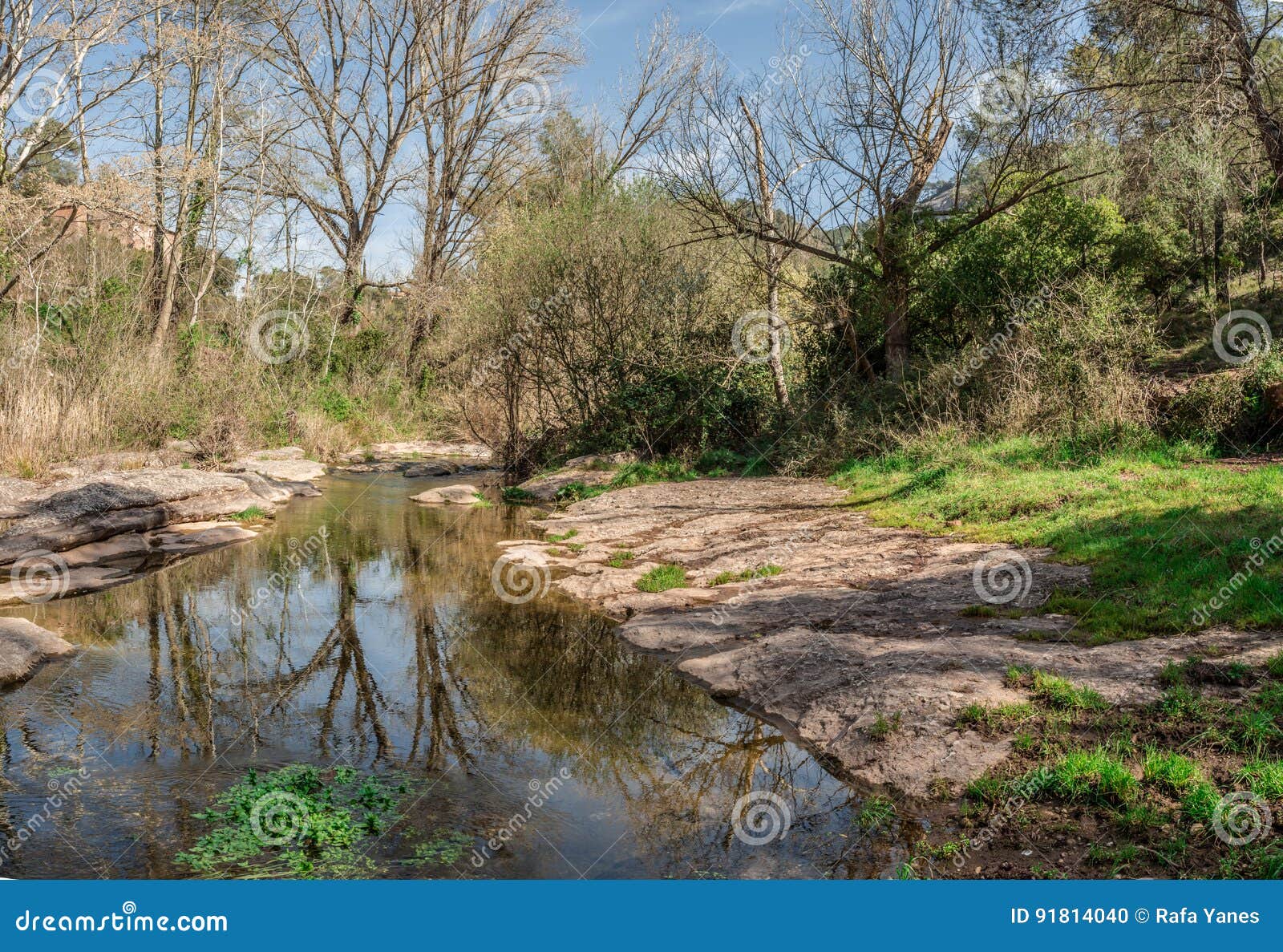 the calm of a river between the vegetation