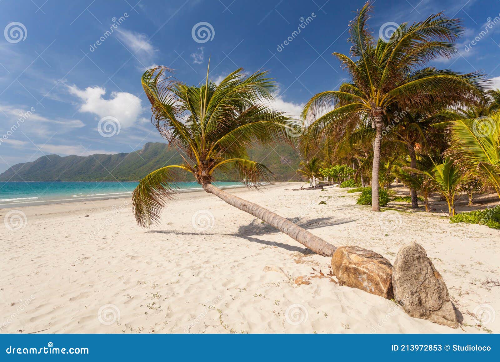 calm tropical beach on a con dao island in vietnam