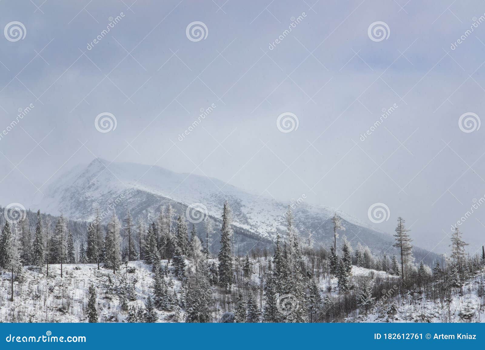 Calm Winter Nature Landscape Wood Land Scenic View Alps Mountain ...