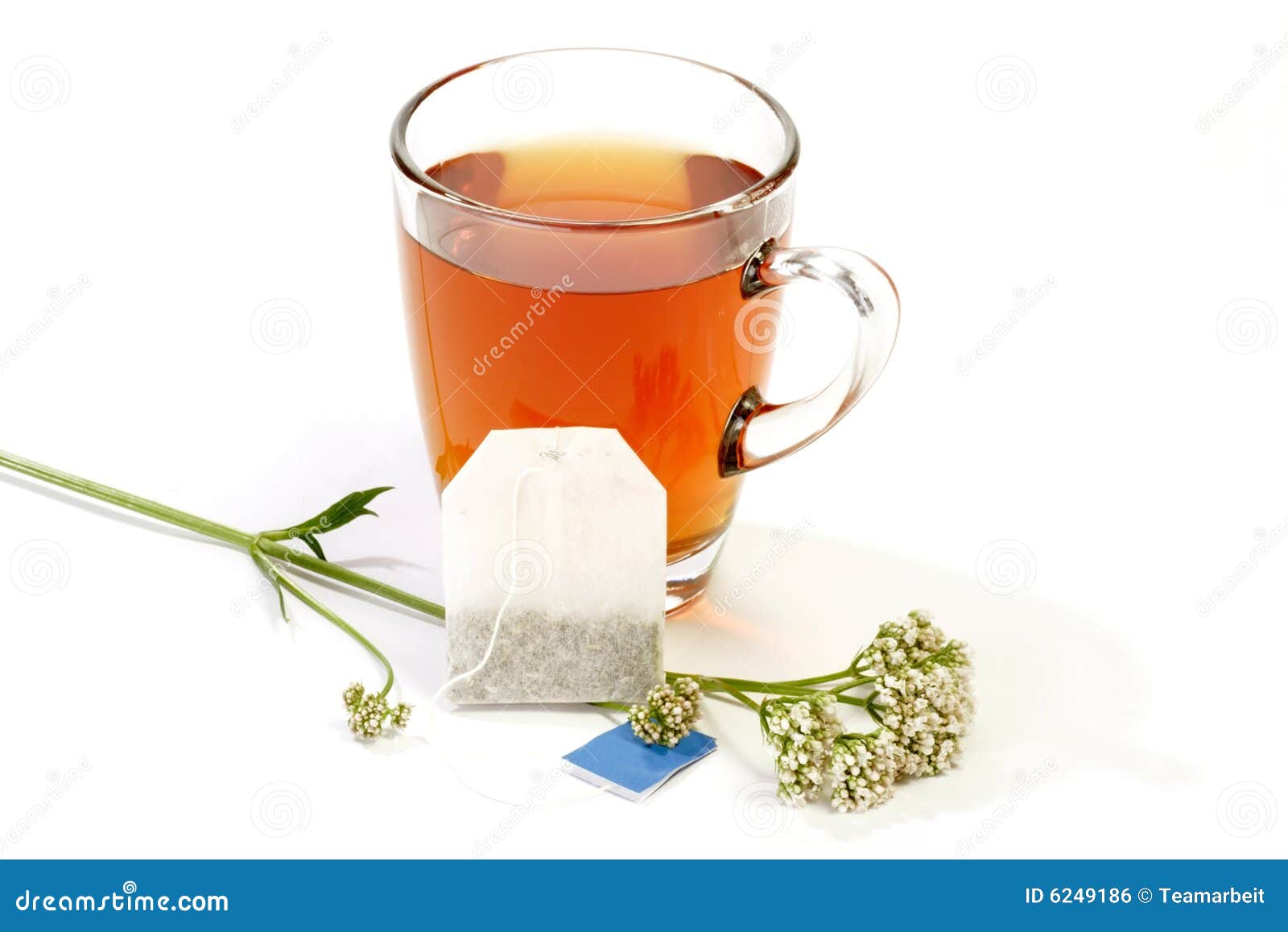 Calming Tea stock photo. Image of herb, calm, alternative 6249186