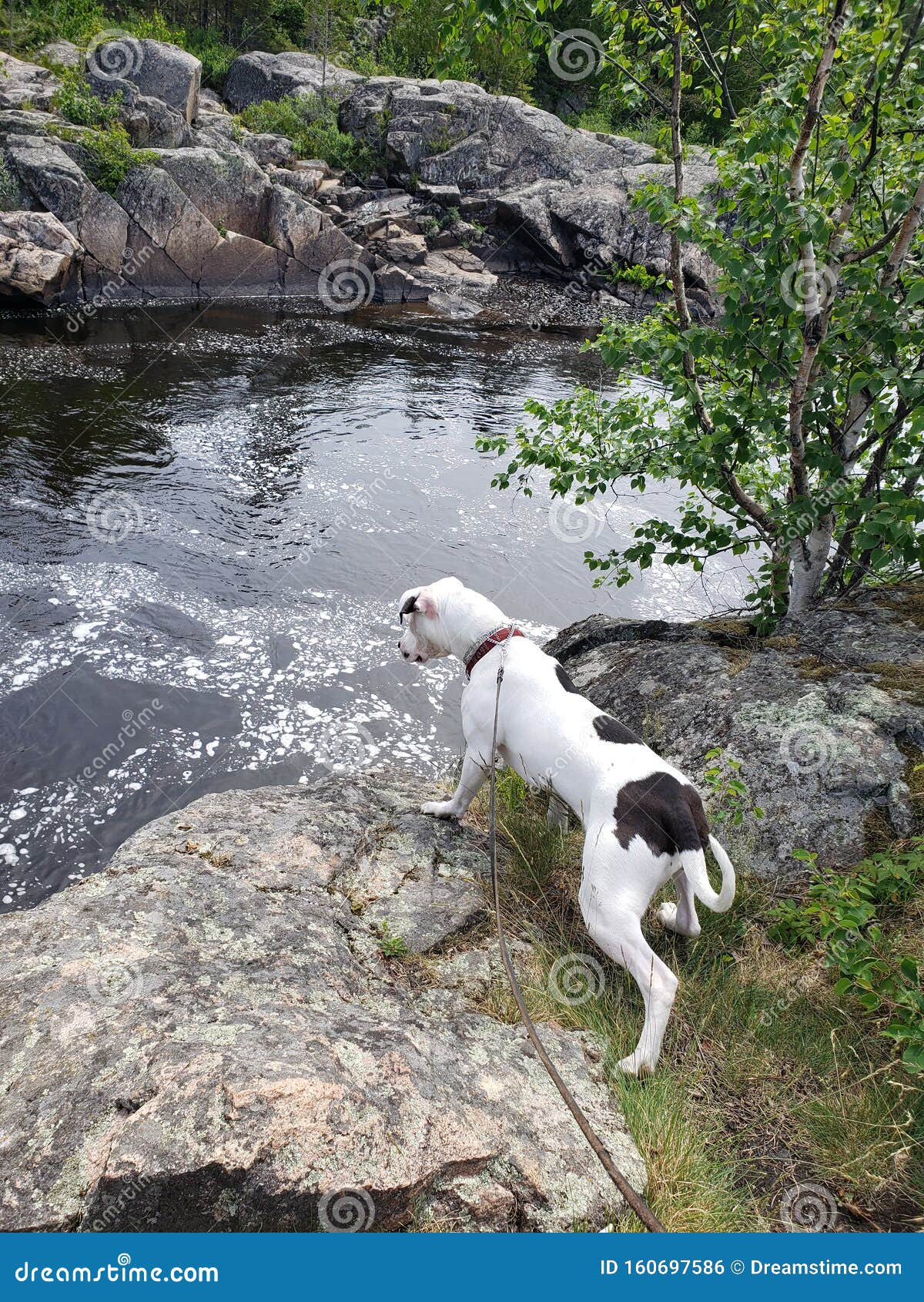 calming water walk